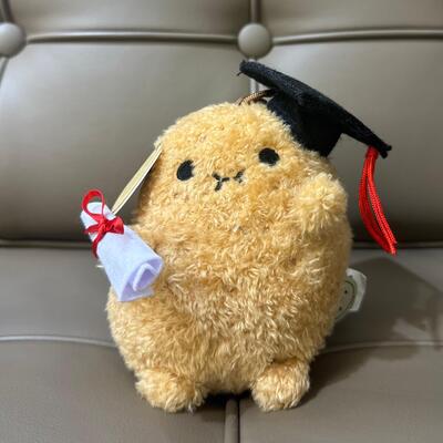 Noodoll Graduation Ricespud Mini Sitting Plush Toy 畢業薯仔