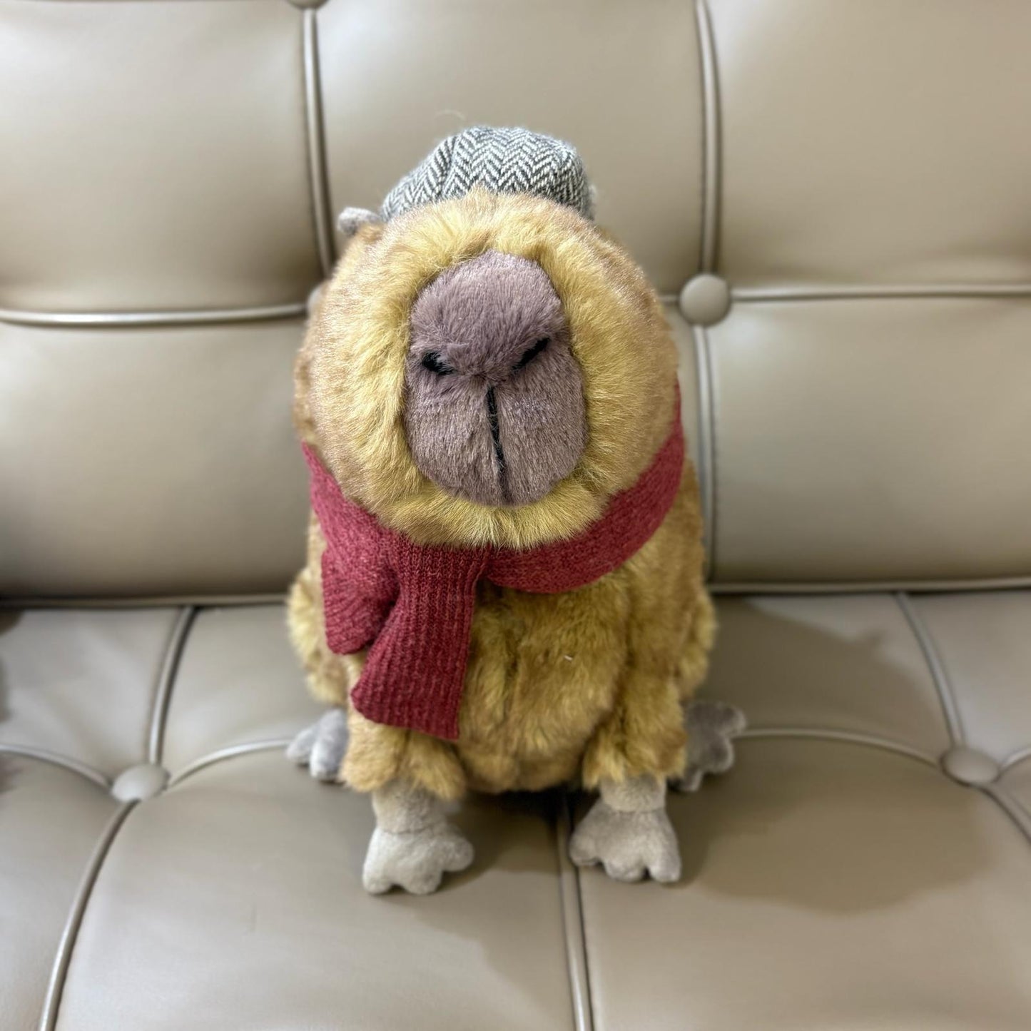 Jellycat Clyde Capybara Hipster 英倫紳士水豚