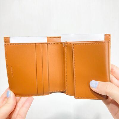 Celine Small Strap Wallet Canvas White