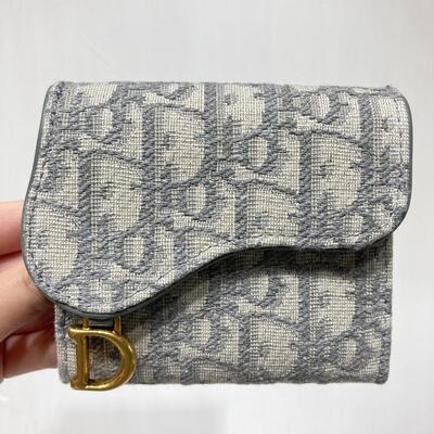 Dior Saddle Wallet Oblique Grey