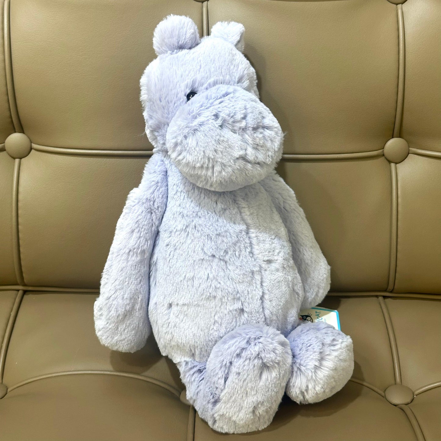 Jellycat Bashful Hippo 河馬 (亞洲Tag)