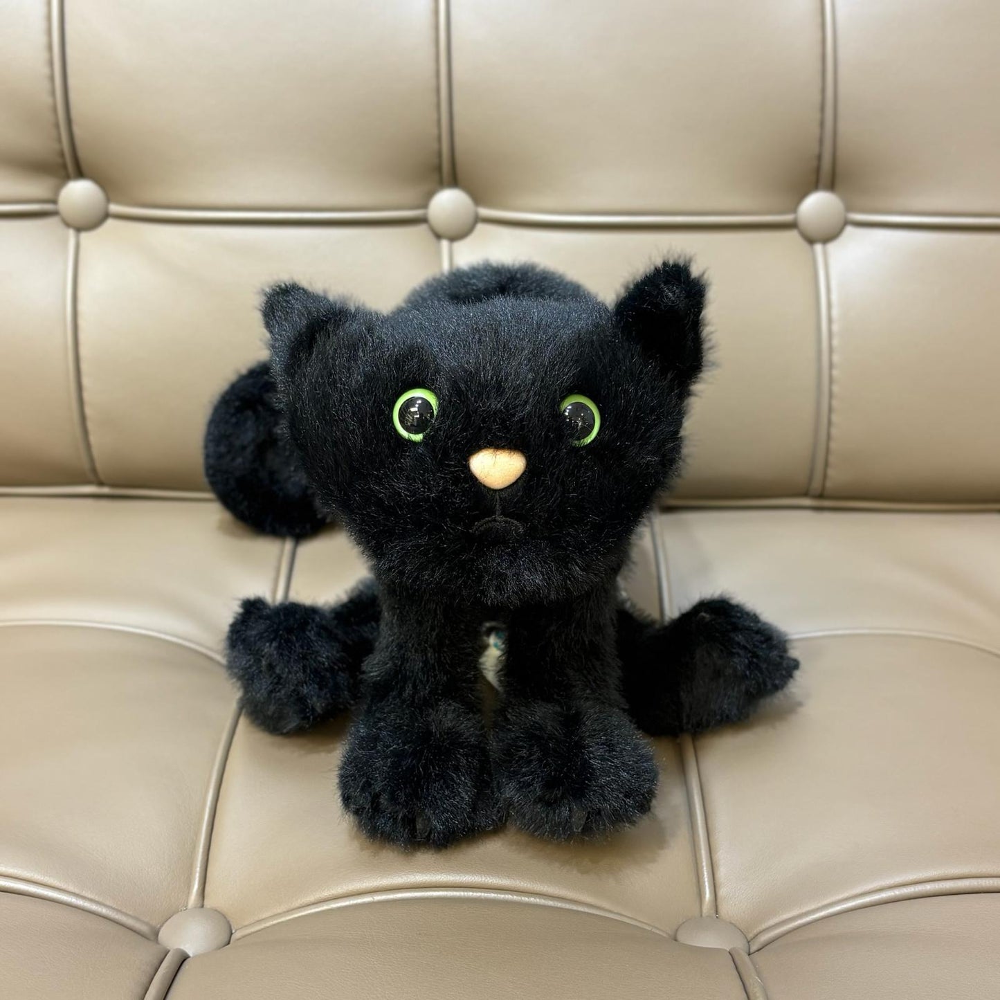 Jellycat Spookipaws Cat 黑貓