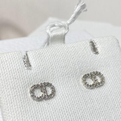 Dior Clair D Lune Earrings Silver